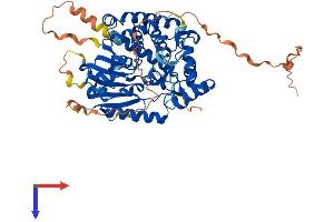 AlphaFold protein structure predicition of Human Recombinant DNAAF3 Protein, UniprotID Q8N9W5