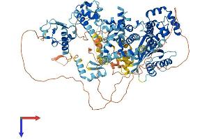 AlphaFold protein structure predicition of Human Recombinant GTF2IRD2B Protein, UniprotID Q6EKJ0