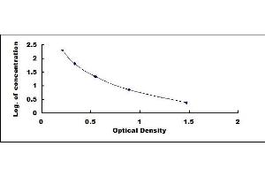 Cross Linked N-Telopeptide of Type I Collagen (NTX-I) ELISA Kit