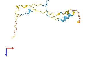 AlphaFold protein structure predicition of Human Recombinant PRR15L Protein, UniprotID Q9BU68