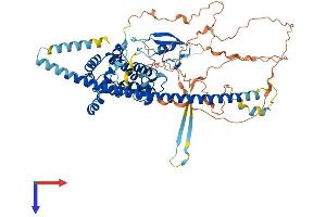 AlphaFold protein structure predicition of Human Recombinant RACGAP1 Protein, UniprotID Q9H0H5