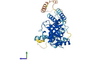 AlphaFold protein structure predicition of Human Recombinant UBE2Q2 Protein, UniprotID Q8WVN8