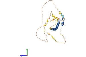 AlphaFold protein structure predicition of Human Recombinant MAFB Protein, UniprotID Q9Y5Q3