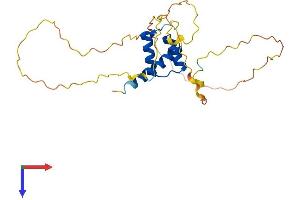 AlphaFold protein structure predicition of Mouse Recombinant Hoxb9 Protein, UniprotID P20615