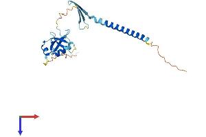 AlphaFold protein structure predicition of Human Recombinant CIDEA Protein, UniprotID O60543