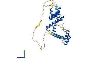 AlphaFold protein structure predicition of Human Recombinant SIX2 Protein, UniprotID Q9NPC8