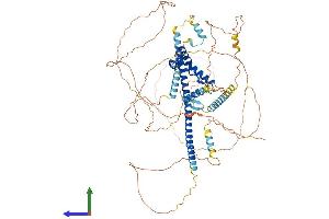 AlphaFold protein structure predicition of Mouse Recombinant Sox5 Protein, UniprotID P35710