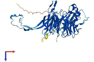 AlphaFold protein structure predicition of Human Recombinant PPP2R2B Protein, UniprotID Q00005