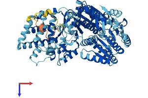 AlphaFold protein structure predicition of Mouse Recombinant Ercc2 Protein, UniprotID O08811