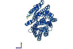 AlphaFold protein structure predicition of Mouse Recombinant Mtnd4 Protein, UniprotID P03911