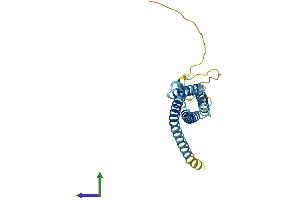 AlphaFold protein structure predicition of Mouse Recombinant Cmtm4 Protein, UniprotID Q8CJ61