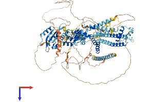 AlphaFold protein structure predicition of Human Recombinant KCNH4 Protein, UniprotID Q9UQ05
