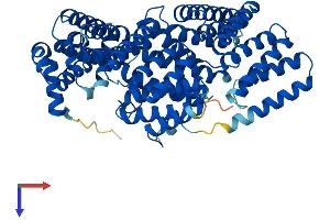 AlphaFold protein structure predicition of Human Recombinant APPBP2 Protein, UniprotID Q92624