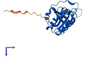 AlphaFold protein structure predicition of Human Recombinant ARL16 Protein, UniprotID Q0P5N6