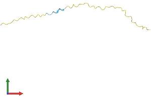 AlphaFold protein structure predicition of Mouse Recombinant Sprr4 Protein, UniprotID Q8CGN8