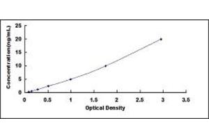 Typical standard curve (CACNA1B Kit ELISA)