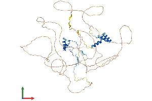 AlphaFold protein structure predicition of Human Recombinant NOLC1 Protein, UniprotID Q14978