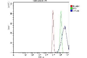 Flow Cytometry analysis of PC-3 cells using anti-VPS36 antibody (ABIN7599339). (VPS36 anticorps  (AA 1-386))