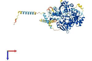 AlphaFold protein structure predicition of Mouse Recombinant Mgat5 Protein, UniprotID Q8R4G6