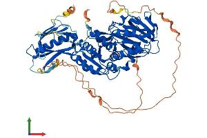 AlphaFold protein structure predicition of Mouse Recombinant Sphk2 Protein, UniprotID Q9JIA7