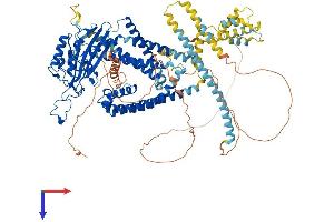 AlphaFold protein structure predicition of Human Recombinant PKD2 Protein, UniprotID Q13563