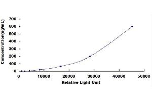 alpha-2-Glycoprotein 1, Zinc-Binding (AZGP1) CLIA Kit