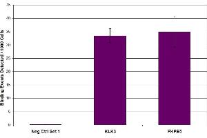 Androgen Receptor antibody (pAb) tested by ChIP.