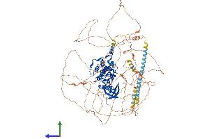 AlphaFold protein structure predicition of Mouse Recombinant Bmp2k Protein, UniprotID Q91Z96