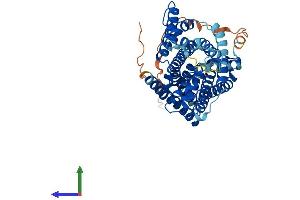 AlphaFold protein structure predicition of Mouse Recombinant Slc36a2 Protein, UniprotID Q8BHK3