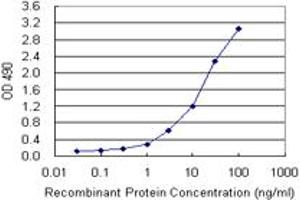 Sandwich ELISA detection sensitivity ranging from 0. (KIT (Humain) Matched Antibody Pair)
