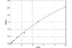 Phosphatidylethanolamine Binding Protein 1 (PEBP1) ELISA Kit
