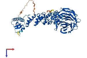 AlphaFold protein structure predicition of Mouse Recombinant Klhl24 Protein, UniprotID Q8BRG6