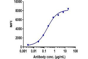Human TIGIT HEK293 cells were stained with Anti-TIGIT Reference Antibody (tiragolumab) and negative control protein respectively, washed and then followed by PE and analyzed with FACS, EC50=0. (Recombinant TIGIT (Tiragolumab Biosimilar) anticorps)