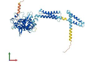 AlphaFold protein structure predicition of Human Recombinant ATL3 Protein, UniprotID Q6DD88