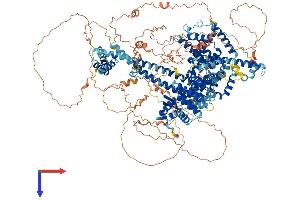AlphaFold protein structure predicition of Human Recombinant GAPVD1 Protein, UniprotID Q14C86
