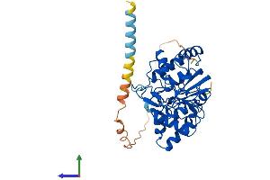 AlphaFold protein structure predicition of Human Recombinant ST8SIA2 Protein, UniprotID Q92186