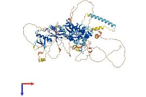 AlphaFold protein structure predicition of Human Recombinant DDHD1 Protein, UniprotID Q8NEL9