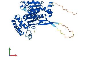 AlphaFold protein structure predicition of Mouse Recombinant Sae1 Protein, UniprotID Q9R1T2