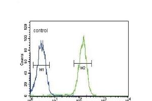SLC9A3R1 Antibody (Center) (ABIN652034 and ABIN2840508) flow cytometric analysis of MDA-M cells (right histogram) compared to a negative control cell (left histogram). (SLC9A3R1 anticorps  (AA 168-197))