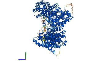 AlphaFold protein structure predicition of Human Recombinant IPO13 Protein, UniprotID O94829