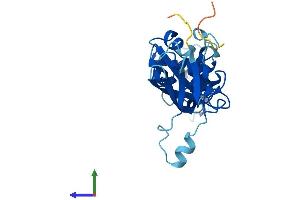 AlphaFold protein structure predicition of Mouse Recombinant Cyb5d1 Protein, UniprotID Q5NCY3