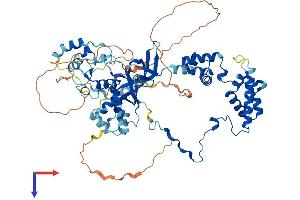 AlphaFold protein structure predicition of Human Recombinant MTA2 Protein, UniprotID O94776