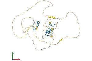 AlphaFold protein structure predicition of Mouse Recombinant Insm2 Protein, UniprotID Q9JMC2