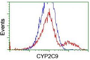 HEK293T cells transfected with either RC220997 overexpress plasmid (Red) or empty vector control plasmid (Blue) were immunostained by anti-CYP2C9 antibody (ABIN2455183), and then analyzed by flow cytometry. (CYP2C9 anticorps)