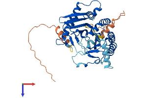 AlphaFold protein structure predicition of Mouse Recombinant Pip5kl1 Protein, UniprotID Q6U7H8
