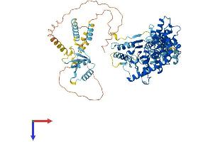 AlphaFold protein structure predicition of Mouse Recombinant Afg3l2 Protein, UniprotID Q8JZQ2