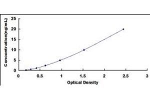 Typical standard curve (POR Kit ELISA)