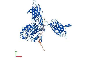 AlphaFold protein structure predicition of Mouse Recombinant Cpne2 Protein, UniprotID P59108