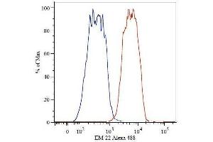 Flow cytometry analysis (intracellular) of beta-catenin in human MCF-7 cell line by -Alexa Fluor ® 488(red) compared to isotype control (blue).
