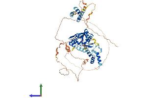 AlphaFold protein structure predicition of Human Recombinant ZC3H12A Protein, UniprotID Q5D1E8